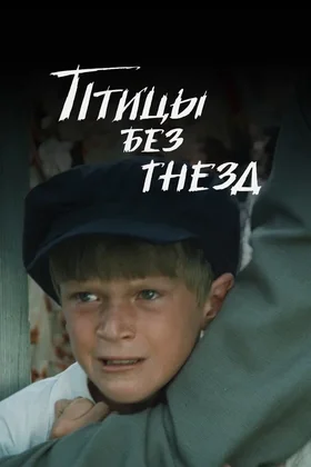 Птицы без гнезд: постер