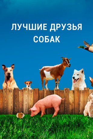 Постер телешоу «Лучшие друзья собак»