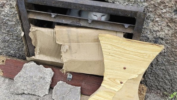 Кошачье семейство умоляло о помощи в подвале дома в Кемерове