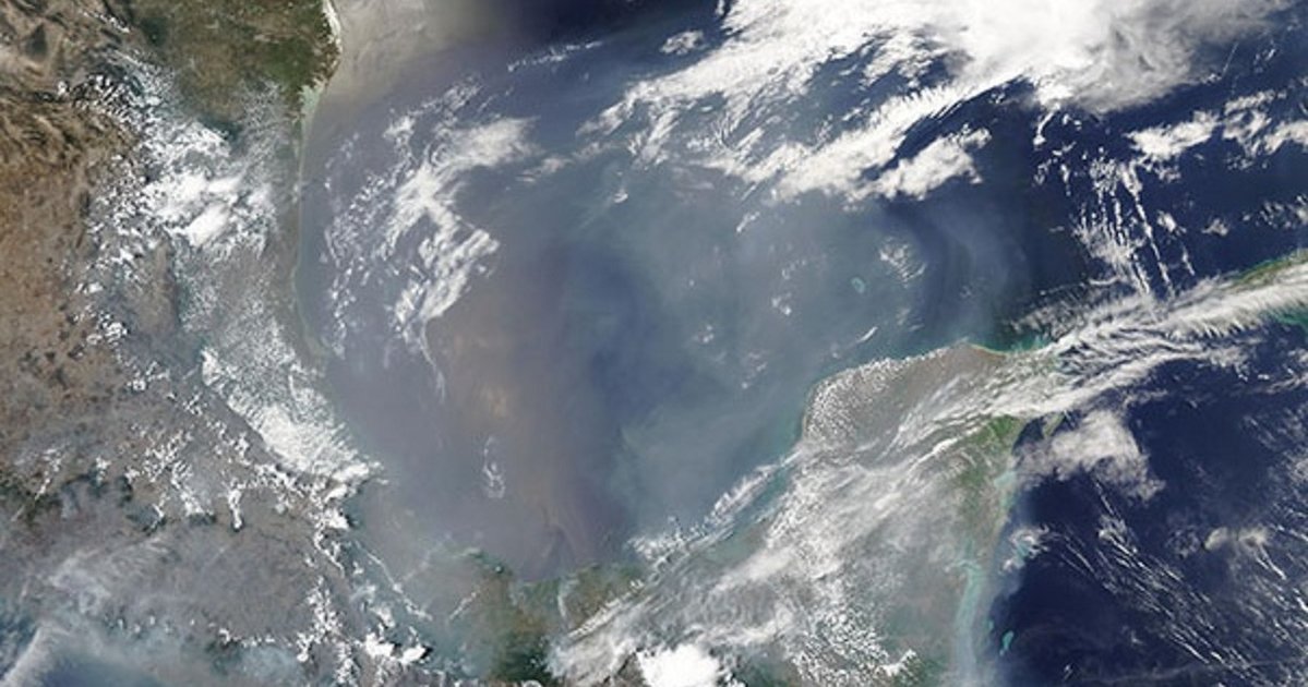Северная Америка в огне: спутники раскрыли масштаб бедствия от сотен пожаров