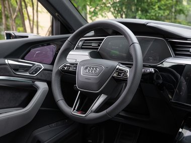 slide image for gallery: 26562 | Audi e-tron