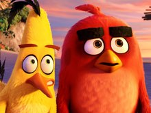 Кадр из Angry Birds в кино