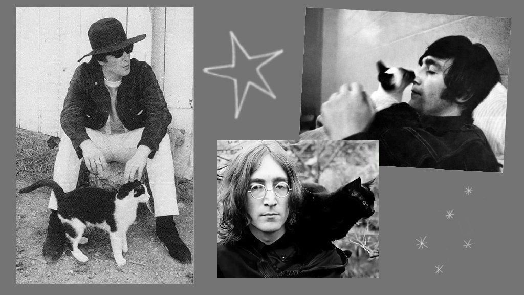 John_Lennon_and_his_17_cats