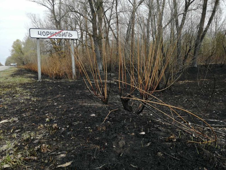 Последствия пожара в окрестностях города Чернобыль. Фото: Государственное агентство Украины по управлению зоной отчуждения.