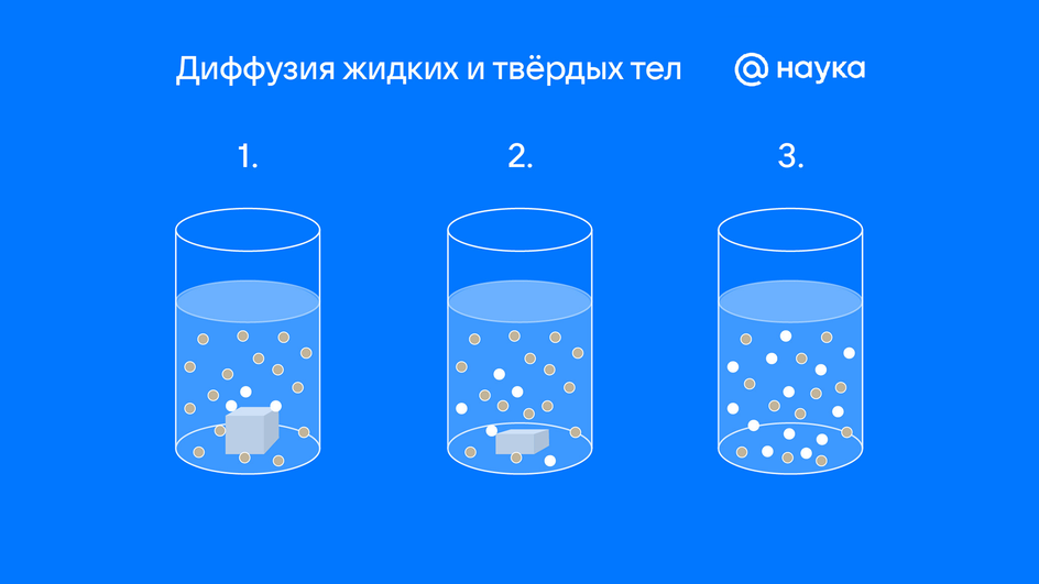 Диффузия жидких и твердых тел