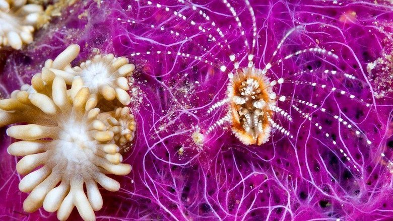 В океане 90% всего живого - микроорганизмы. Фото: GETTY IMAGES