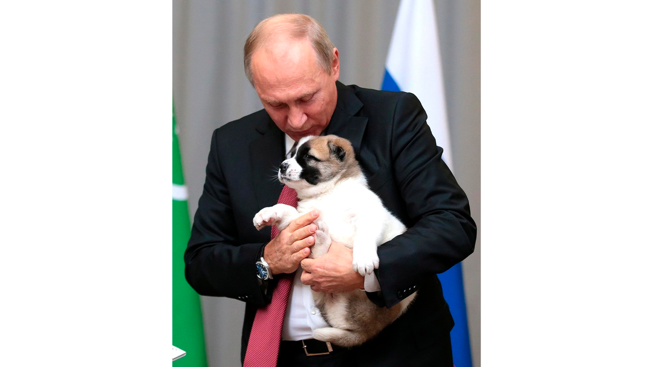 Владимир Путин поцеловал щенка в макушку