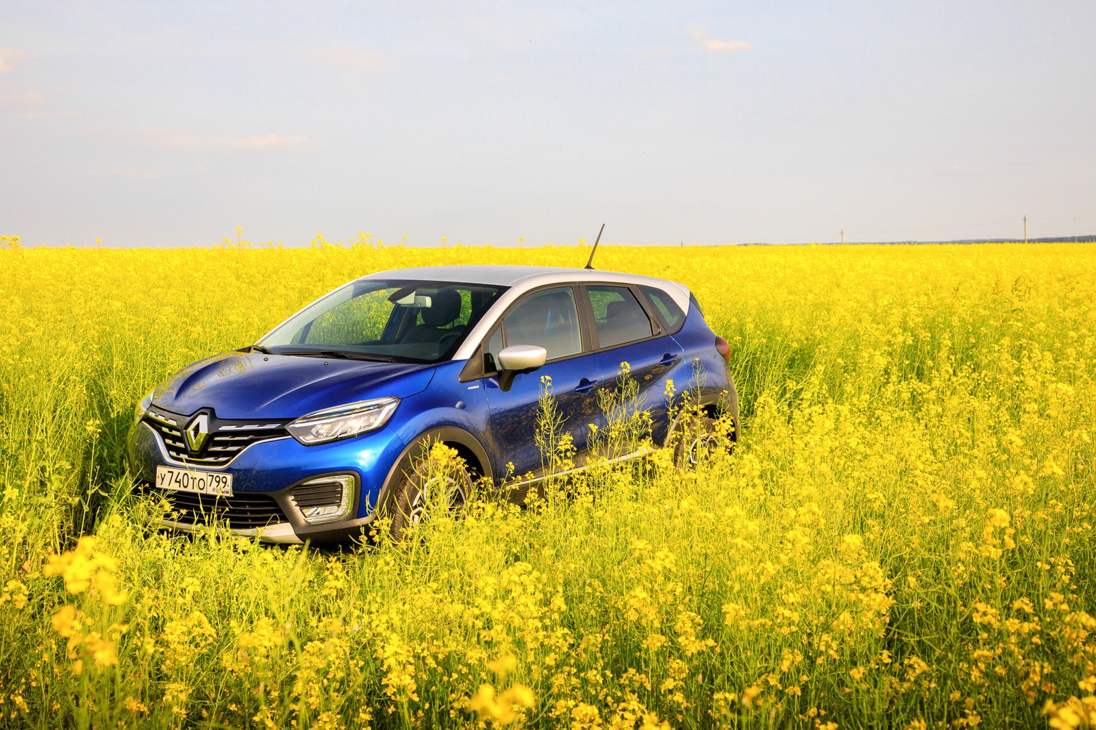 Renault Kaptur: все о машине, которую дарят за онлайн-голосование