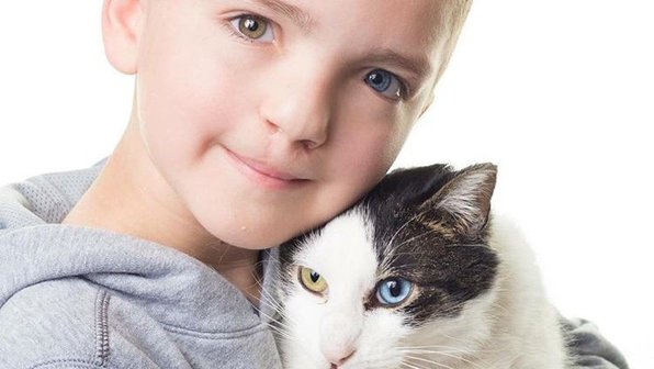 Это судьба. Мальчик с гетерохромией нашел себе такого же котенка