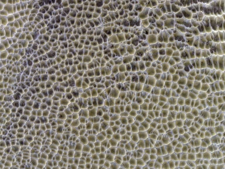 Еще одно фото многоугольных дюн. Источник: NASA