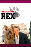 Постер Комиссар Рекс: 2 сезон