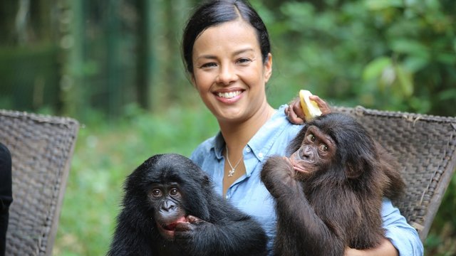 BBC: Любовь в мире животных