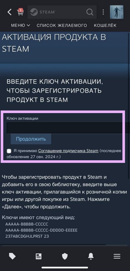Ввод ключа в поле для активации Ввод ключа в поле для активации