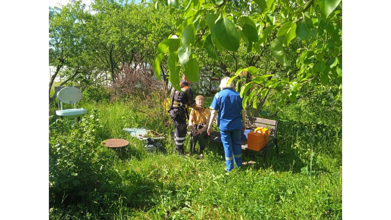 Под Каширой спасли пенсионерку и собаку, упавших в колодец