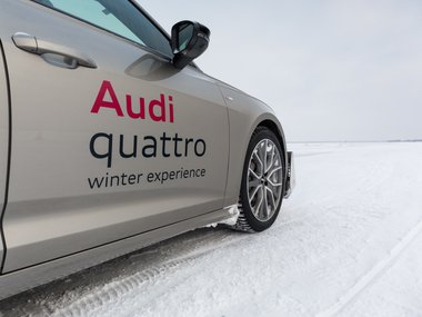 slide image for gallery: 25838 | Audi