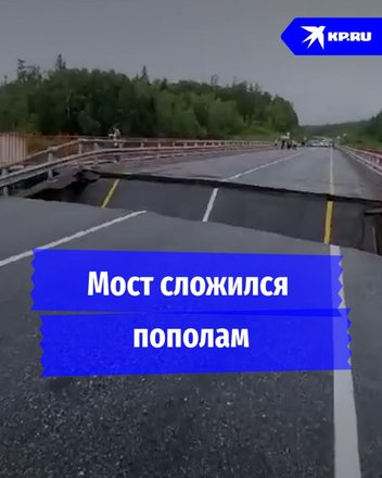 Давайте без шуток: Пегова попала в детектив, Кулик взялся за старое