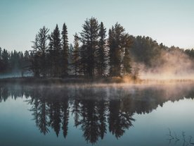 Берег реки
