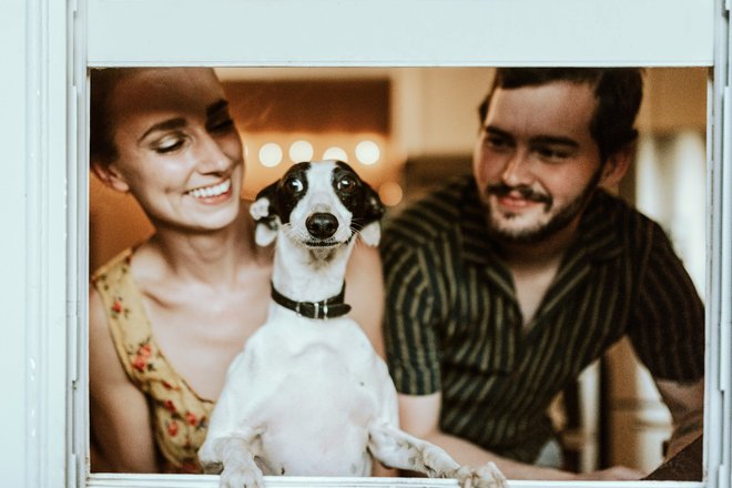 Unsplash.com/CC0 Unsplash.com/CC0