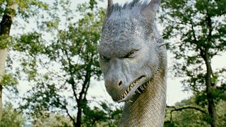 Эрагон (Eragon), фильм 2006 - кадры, трейлеры, смотреть онлайн, актеры,  фото и видео, отзывы