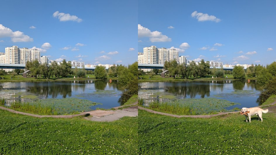 Фото пруда в парке в ясный солнечный день