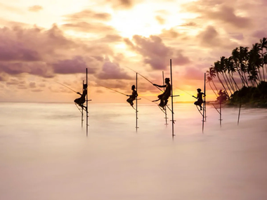 World Nature Photography Awards World Nature Photography Awards