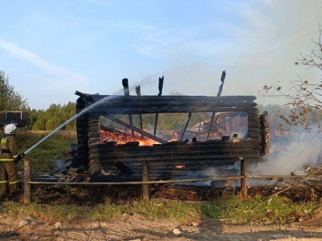 Под Архангельском собака спасла семью от гибели на пожаре