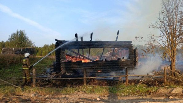 Под Архангельском собака спасла семью от гибели на пожаре
