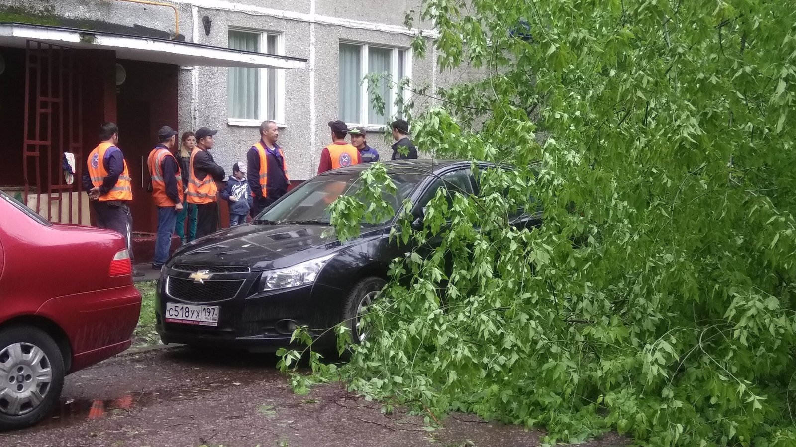 Что делать, если на машину упало дерево