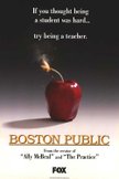 Постер Бостонская школа: 1 сезон