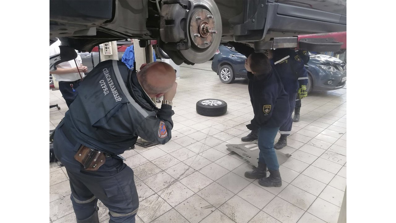 Змея притворилась мертвой, чтобы напугать спасателей в Москве