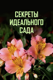Постер undefined: 4 сезон
