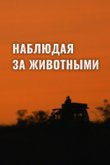 Постер к шоу «Наблюдая за животными»