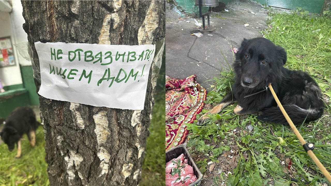 Бэрри в поисках дома Бэрри в поисках дома