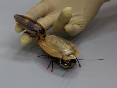 ТАРАКАН-СКРЕПКОХОД без коленвала.Mechanical Cockroach