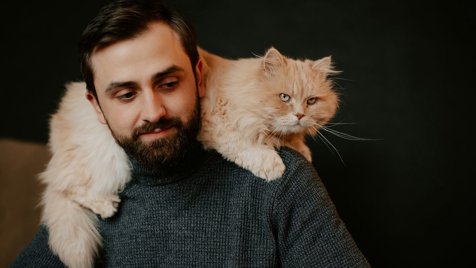 Кошка с хозяином Кошка с хозяином