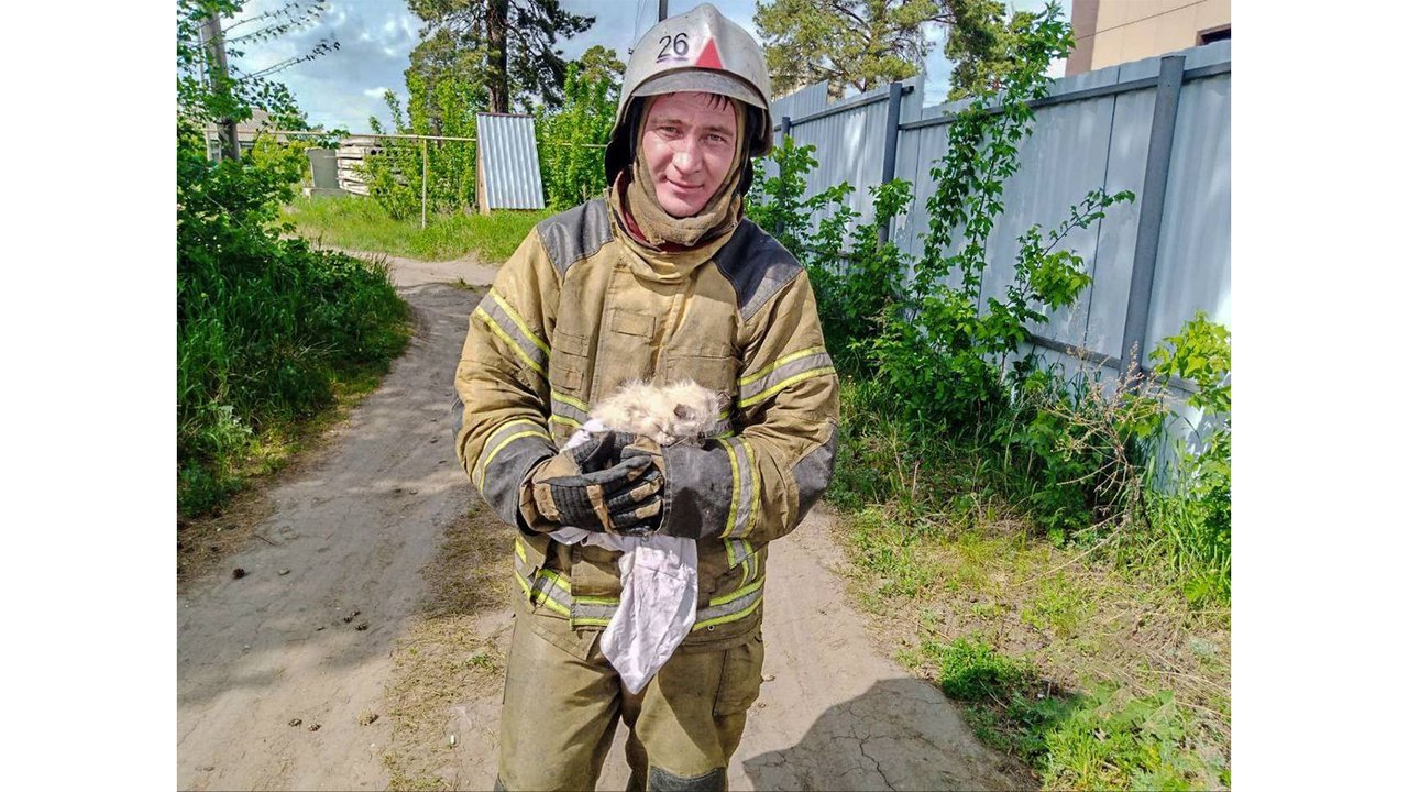 Искусственное дыхание: под Курганом пожарные спасли котят