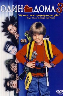 Один дома 3: постер
