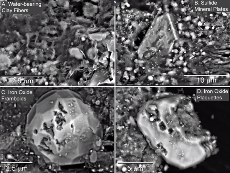 Четыре различных фрагмента из грунта Бенну. Фото: NASA