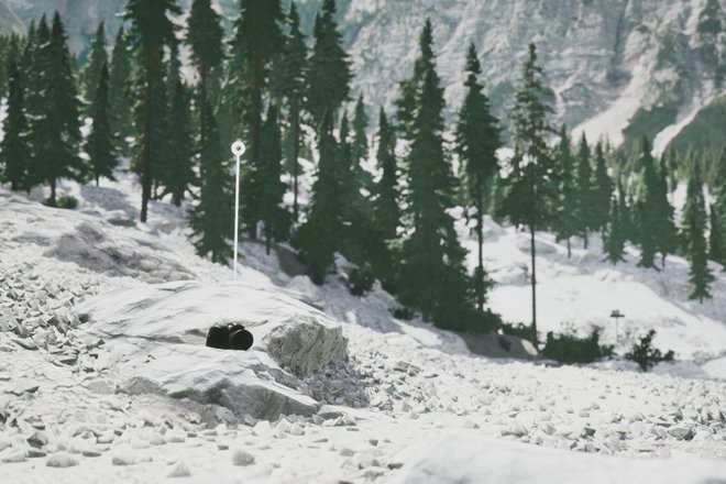 Lushfoil Photography Sim