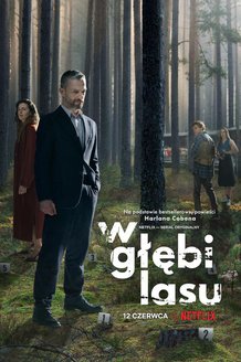 В густом лесу: постер