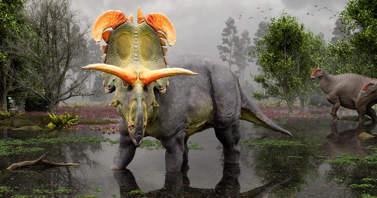 Открыт новый вид динозавров с большими рогами