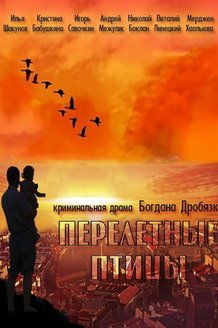 Перелётные птицы: постер