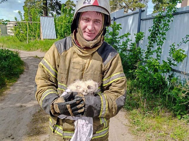 Искусственное дыхание: под Курганом пожарные спасли котят