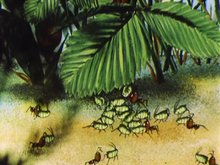 Кадр из Путешествие муравья