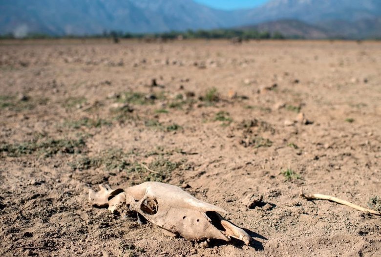 Нехватка воды может привести к переселению десятков и даже сотен миллионов человек . Фото: Getty Images 