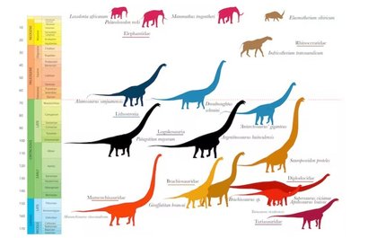Размеры динозавров и вес их мозга сравниваются с аналогичными данными других существ. Фото: phys.org