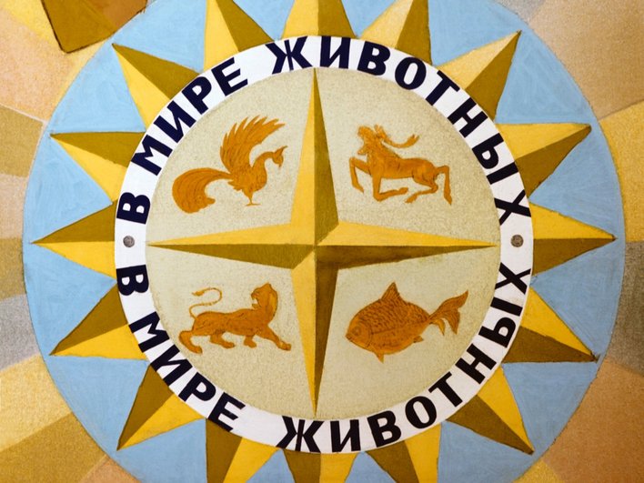 Программа «В мире животных» Программа «В мире животных»