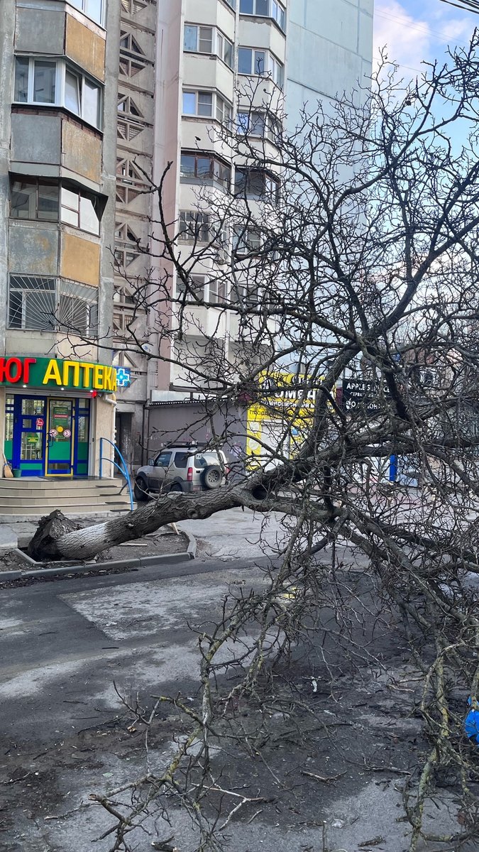 Ураганный ветер, школы на дистанте и ветер до 30 метров в секунду:  рассказываем о последствиях непогоды в Ростовской области 27 ноября 2023 -  Погода Mail.ru