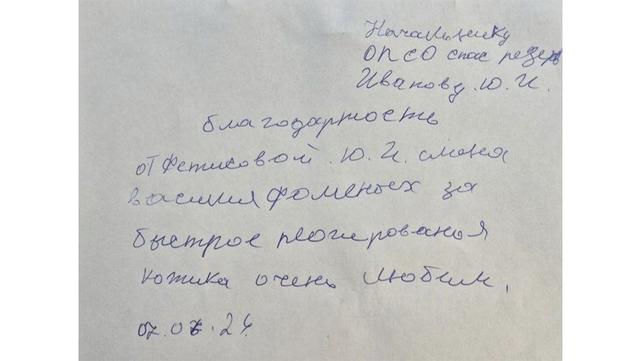 «Хозяйка рыдала»: в Москве спасли кота, который вырвался из шлейки