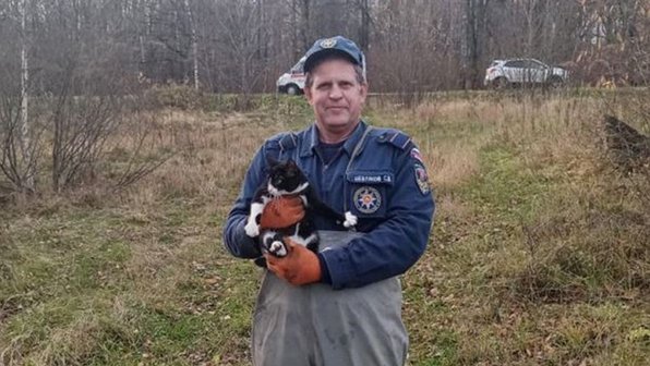 В Можайске спасли котенка, застрявшего на острове посреди пруда